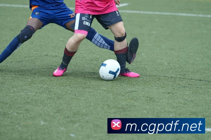 巅峰国际品牌故事